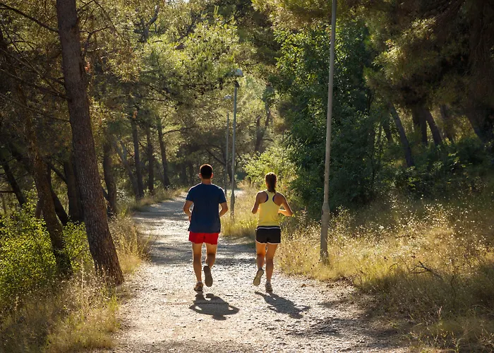 Medena Τρογκίρ